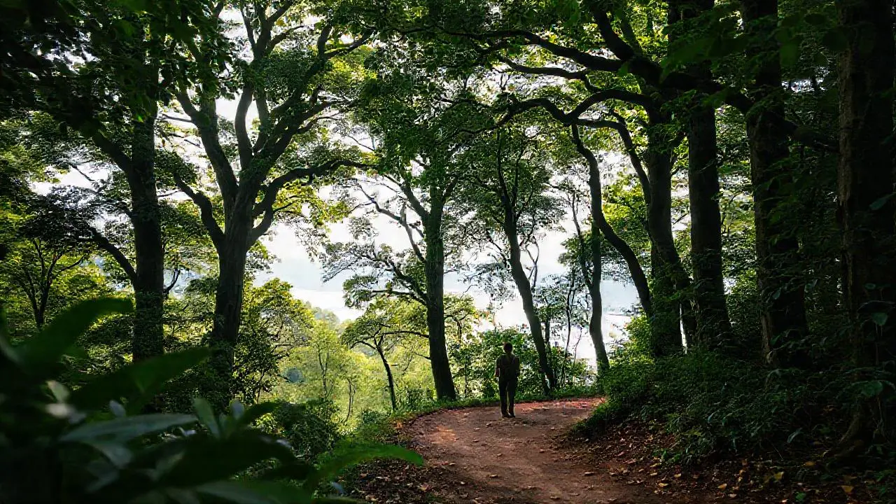 Bosque exuberante, misterioso y natural