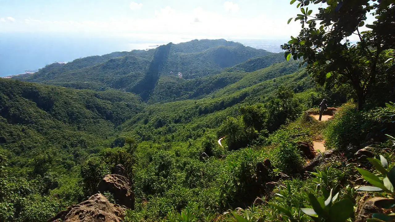 Paisaje tropical vasto y sereno