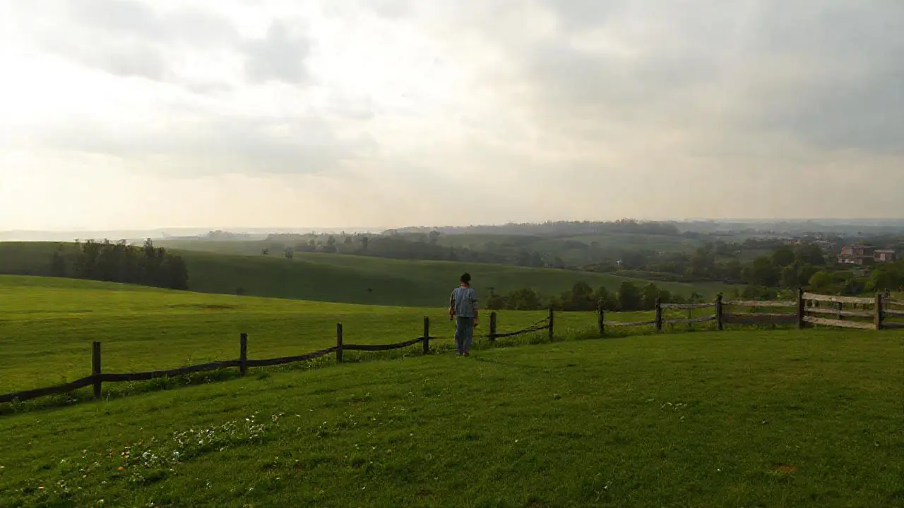 Paisaje natural sereno, con una figura solitaria