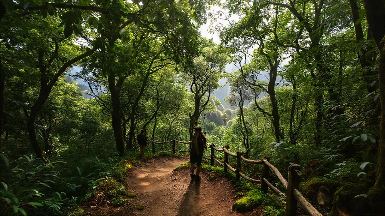 Selva exuberante, sendero, figura, y profundidad