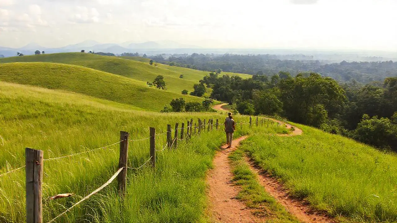 Paisaje natural sereno cerca de Porto Alegre