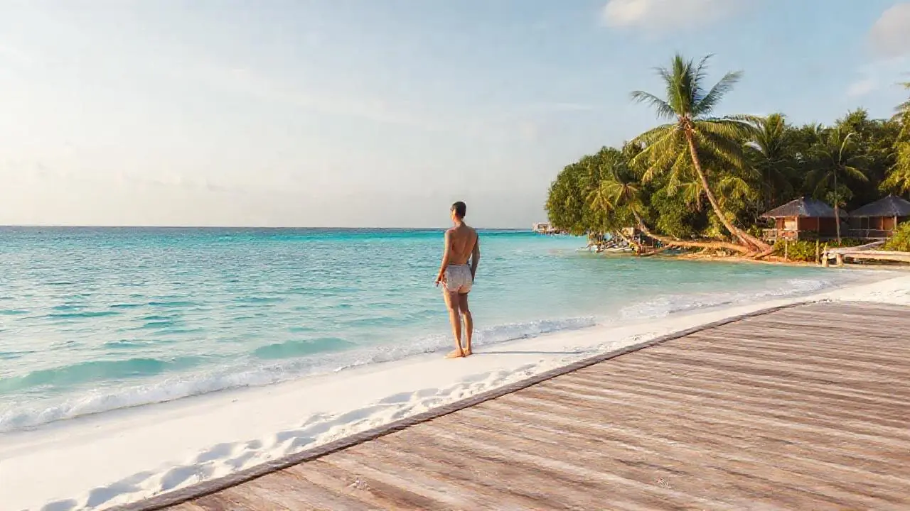 Paz tropical bajo una luz suave