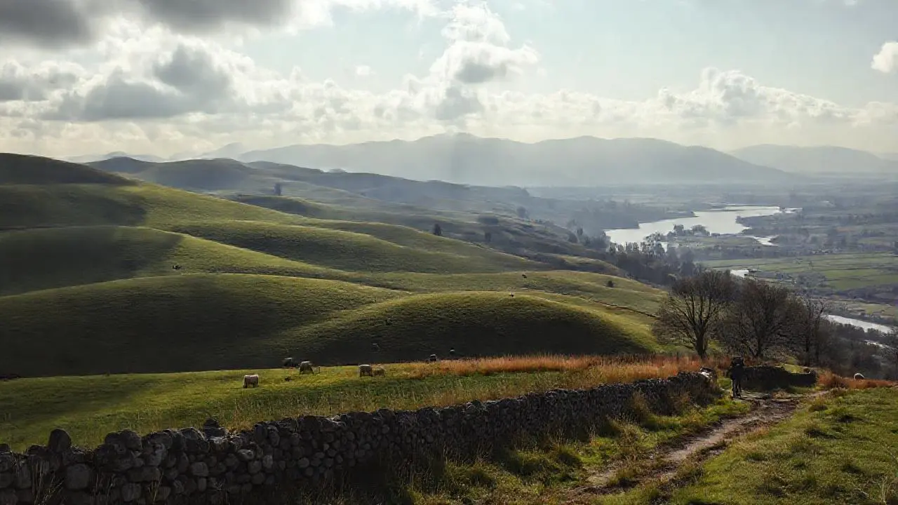 Paisaje rural sereno y vasto