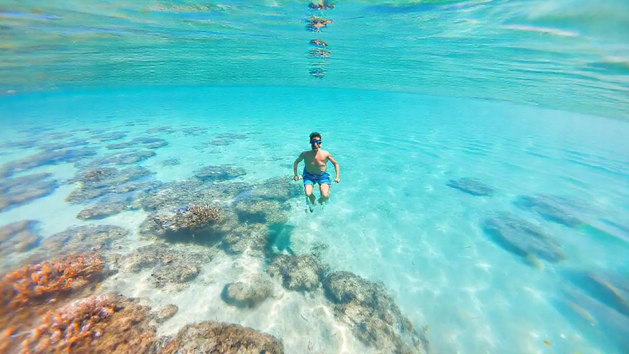 Aguas tranquilas, nadador en un paisaje sereno
