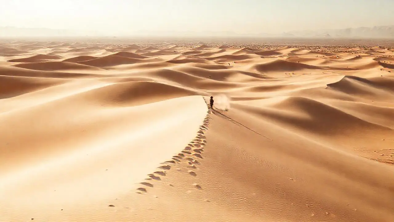 Desierto vasto, silencioso y soleado