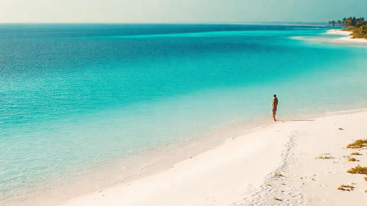 Playa tropical serena y luminosa