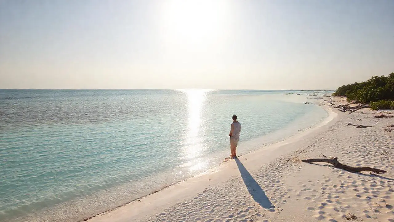 Tranquila playa, luz suave y serena