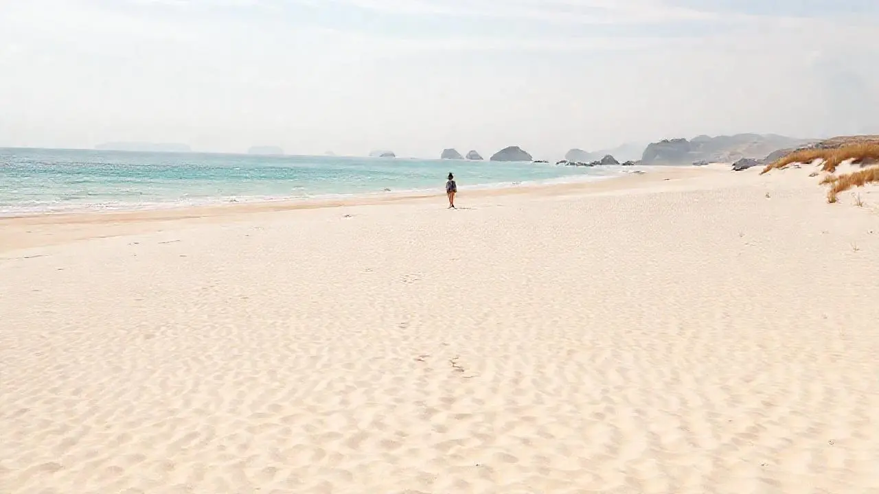 Paisaje costero amplio, sereno y natural