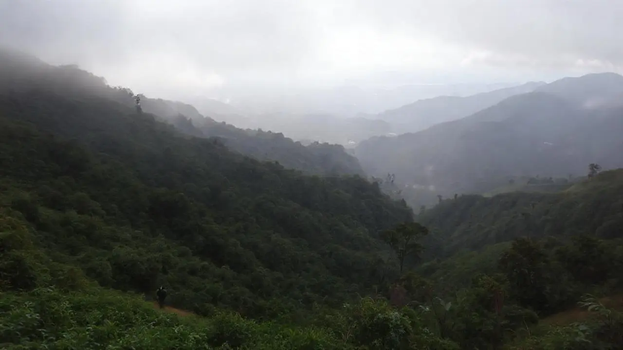 Paisaje natural, brumoso y sereno