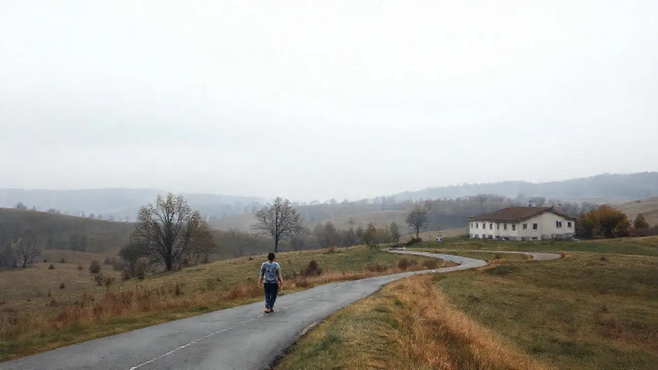 Paisaje rural tranquilo, luz suave y difusa