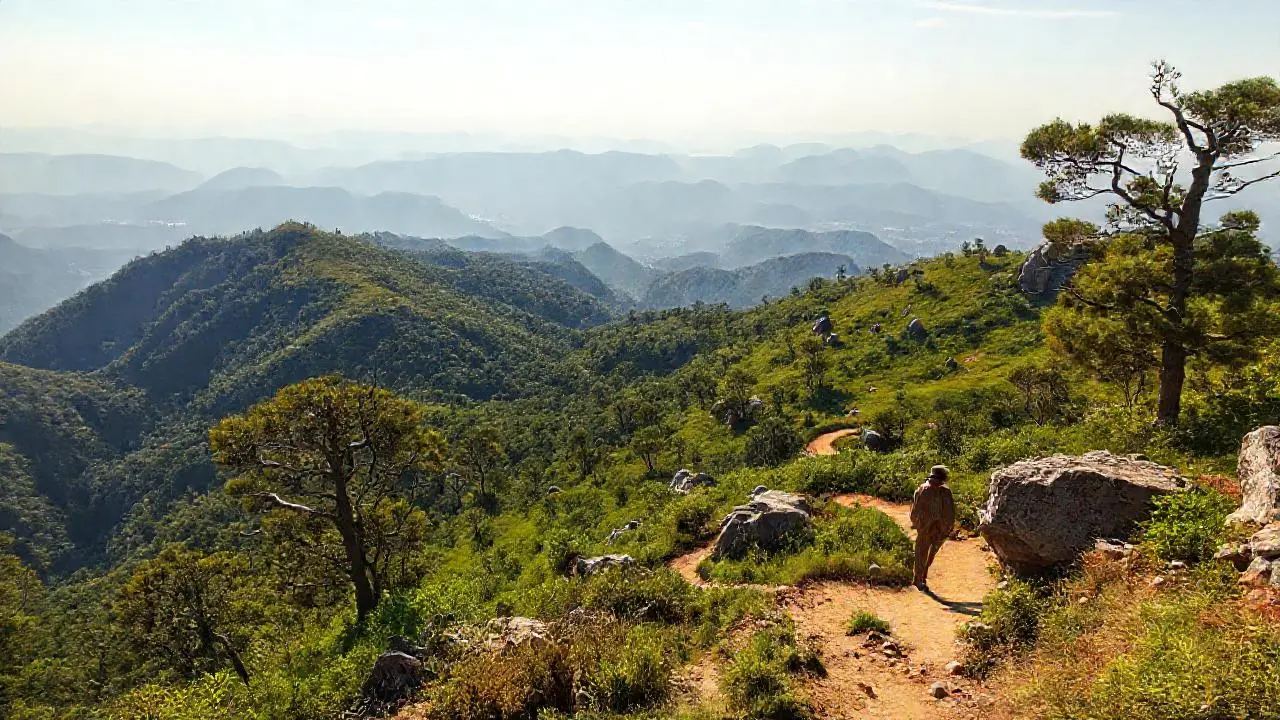 Paisaje natural sereno y extenso