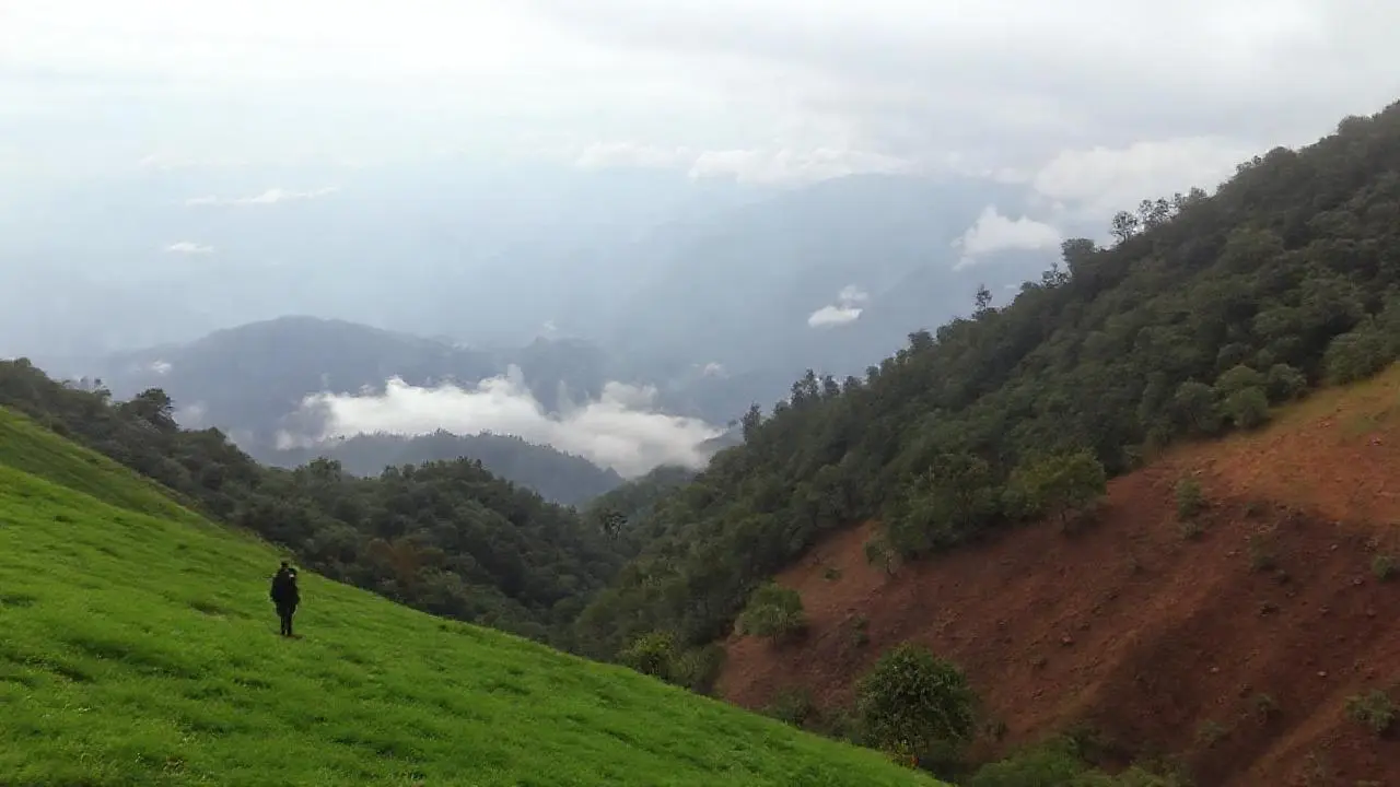 Paisaje sereno, brumoso y profundo