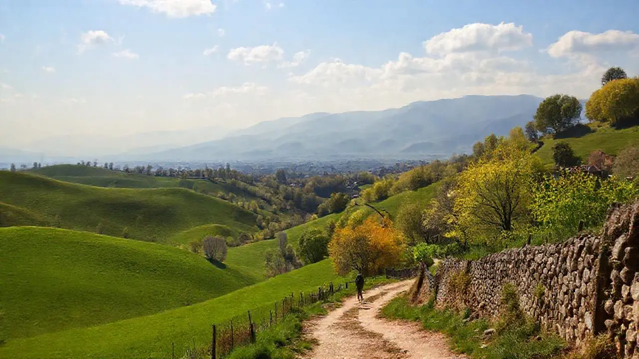 Paisaje rural tranquilo, lleno de luz
