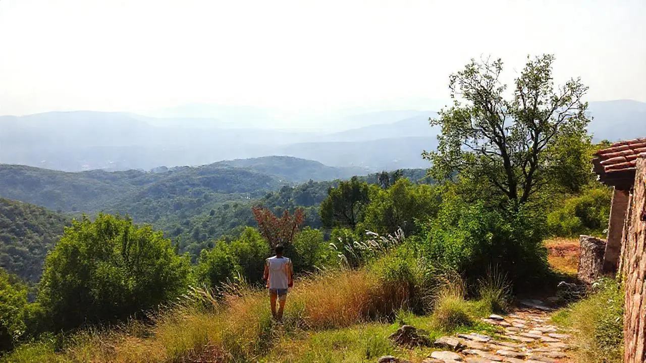 Paisaje sereno, cálido y difuminado