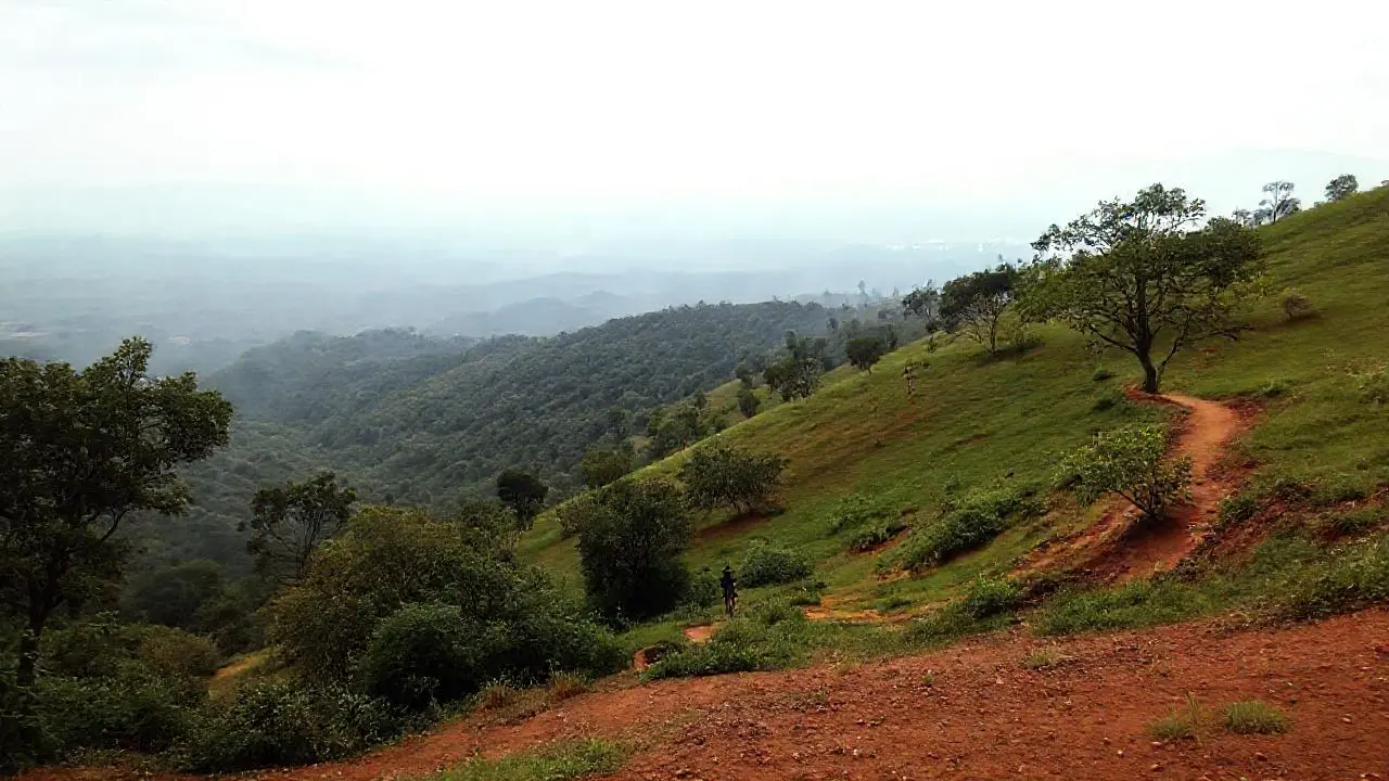 Paisaje sereno, amplio y ligeramente brumoso