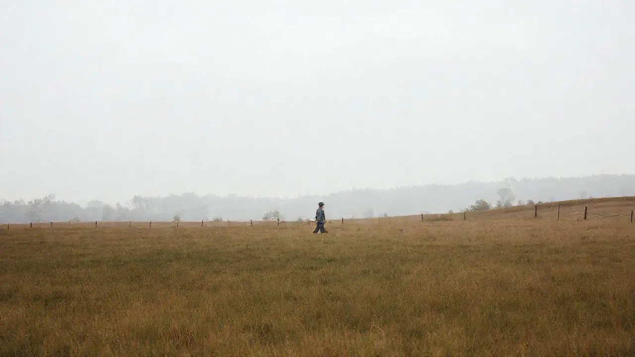 Paisaje abierto, tranquilo y naturalista