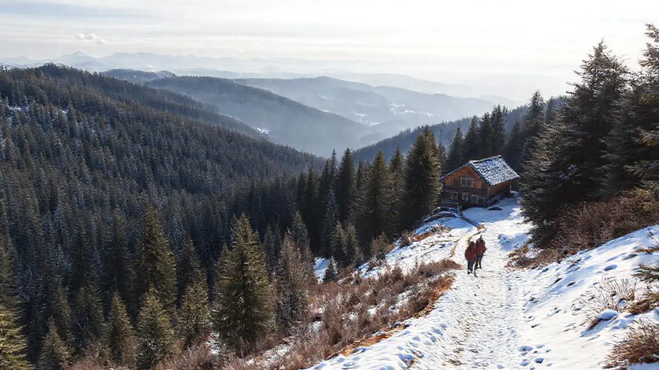 Paz y soledad en un paisaje nevado