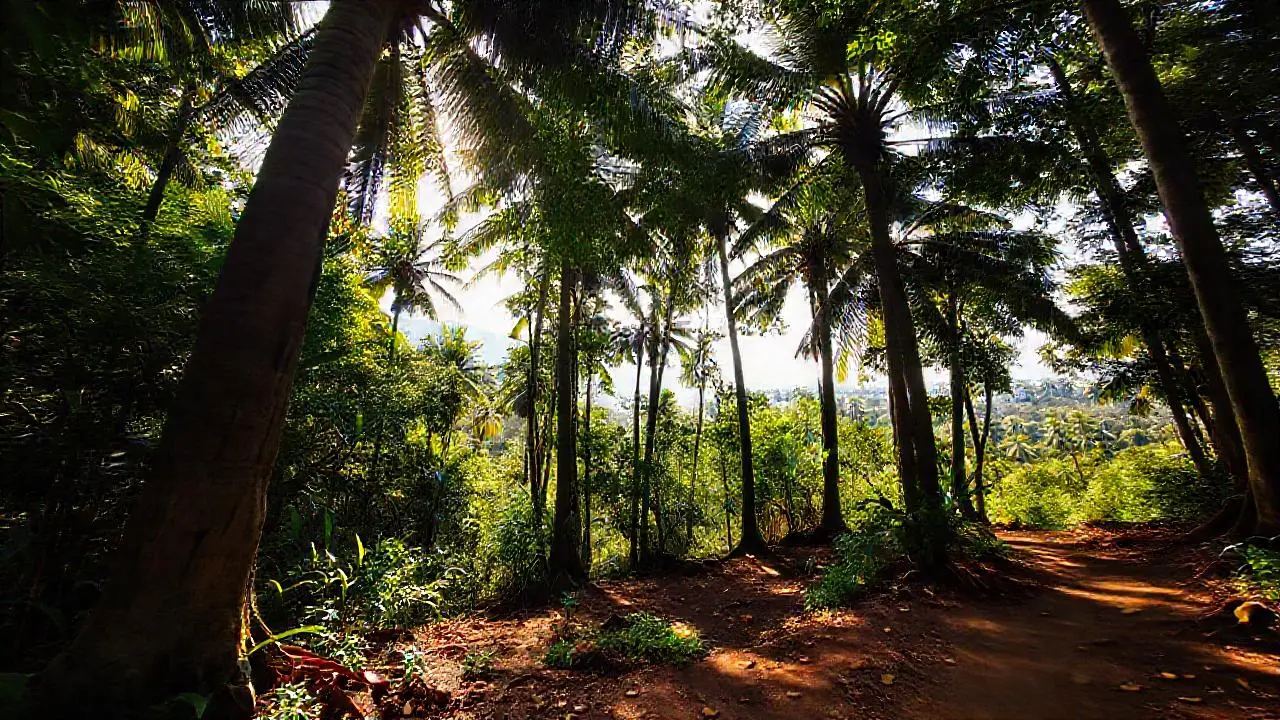 Bosque exuberante, luz filtrada y perspectiva natural