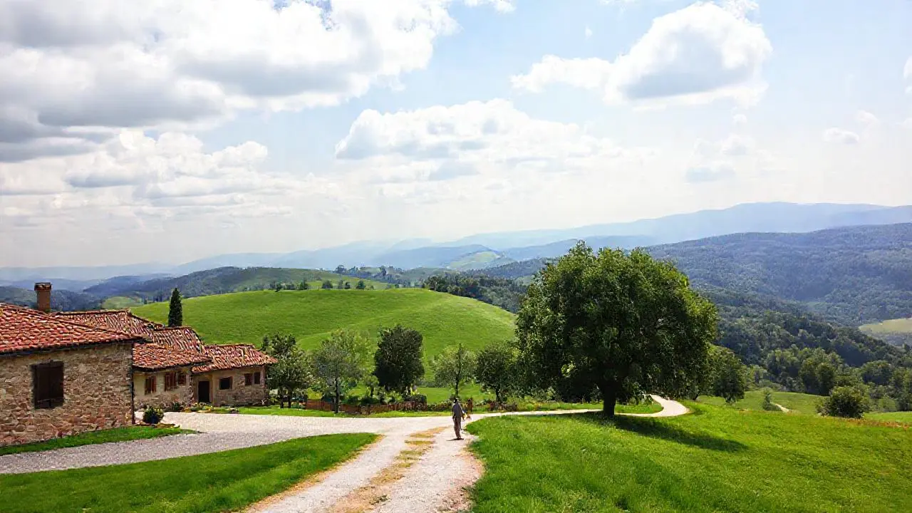 Paisaje rural tranquilo y luminoso