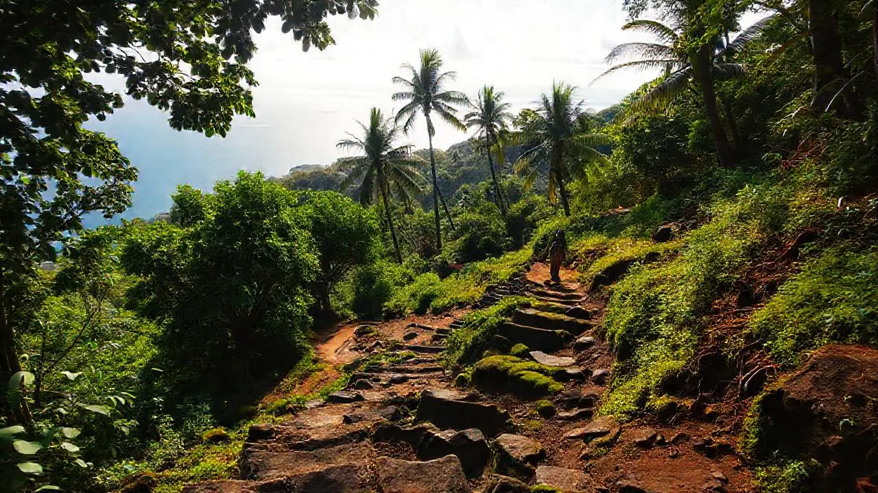 Un paisaje tropical exuberante y sereno