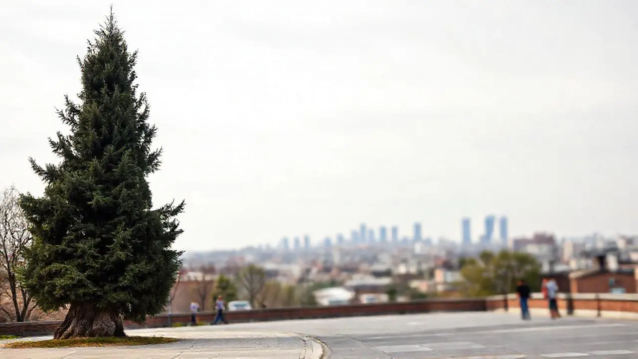 Escena urbana tranquila, suave y natural