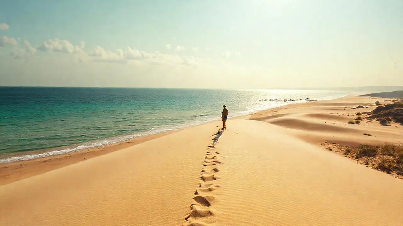 Paz serena en una playa extensa