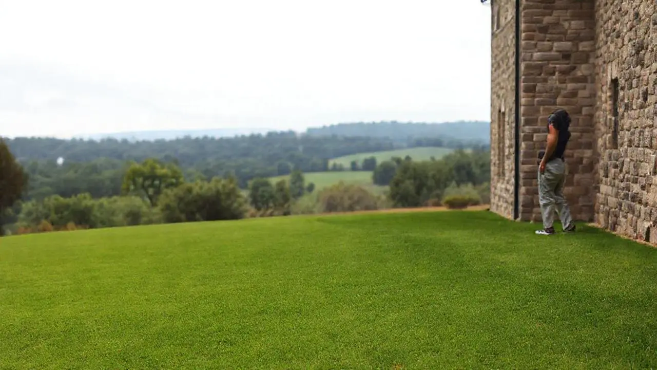 Escena natural, serena y ligeramente difusa