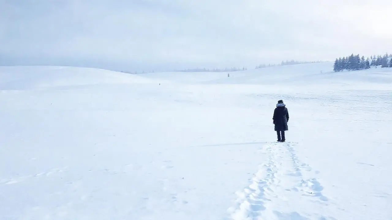 Paisaje invernal amplio, frío y silencioso
