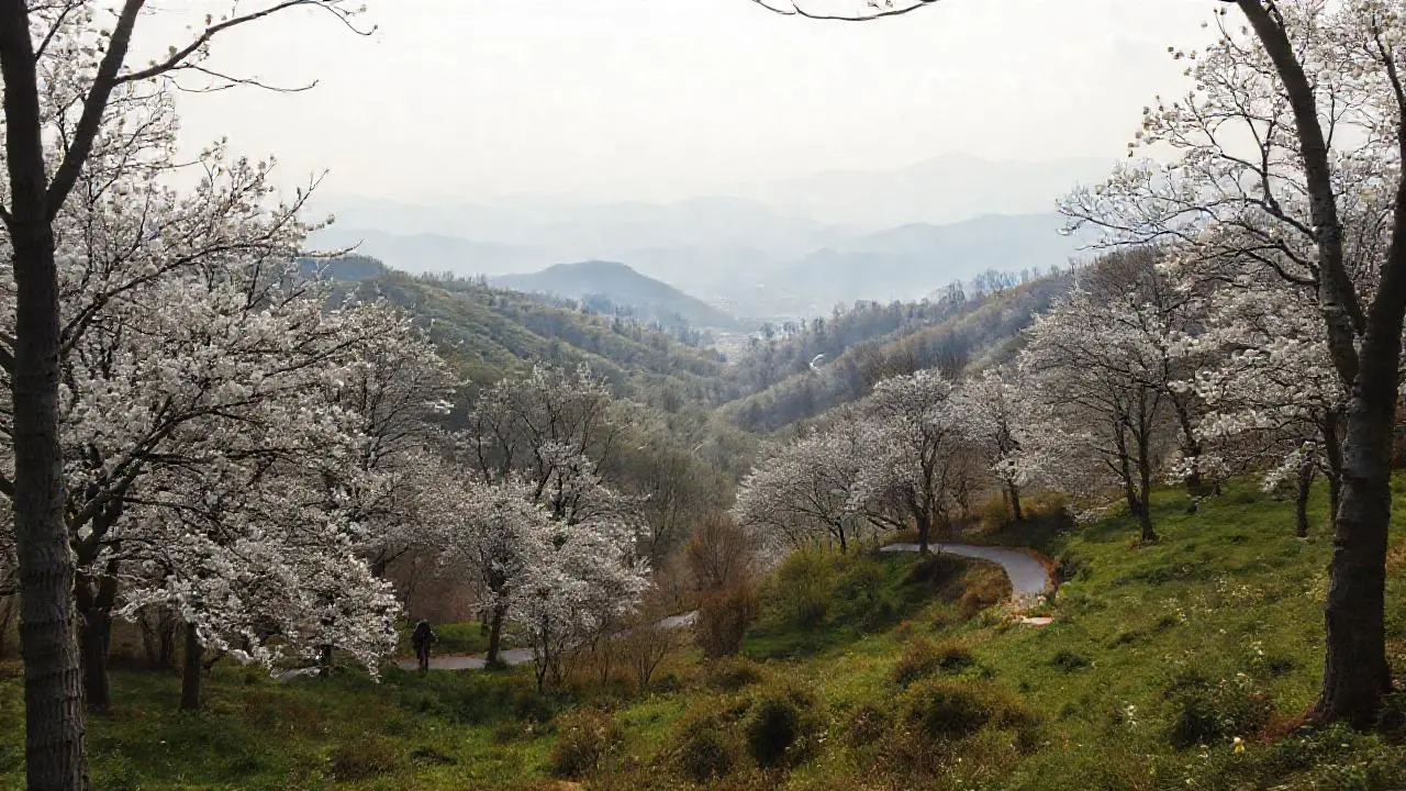 Paisaje sereno, amplio y natural