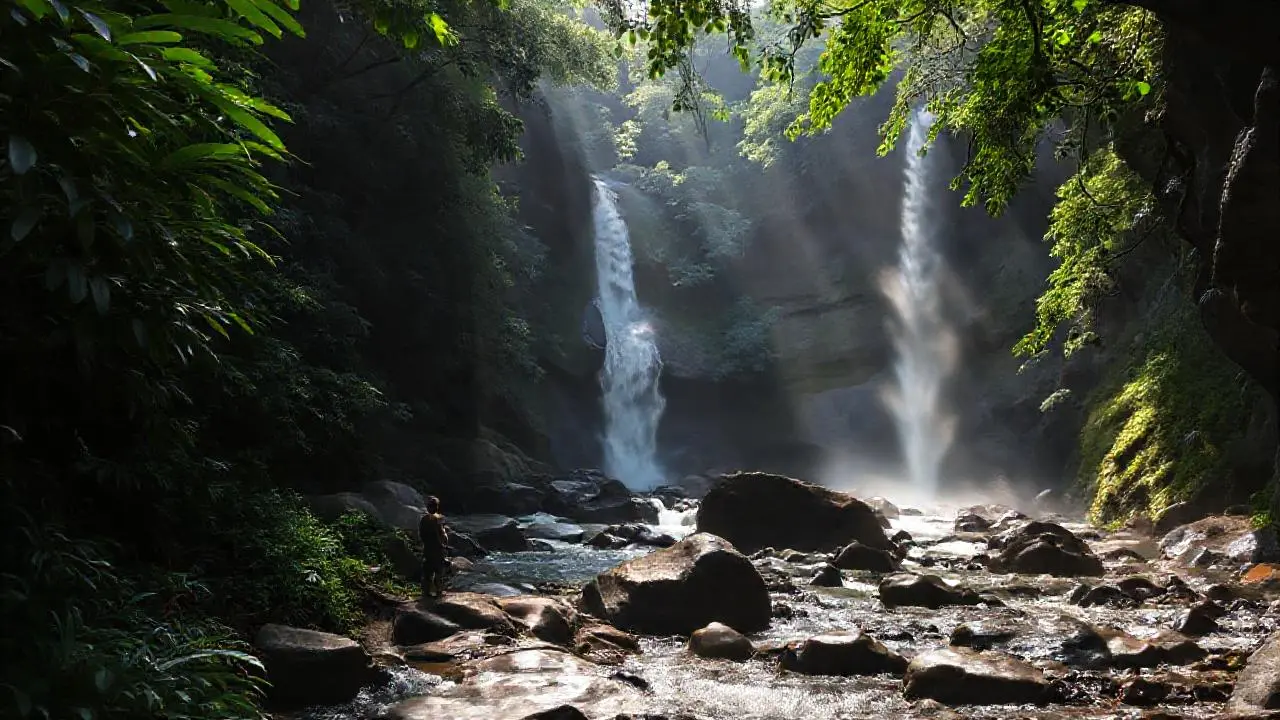Selva exuberante y húmeda, vista grandiosa