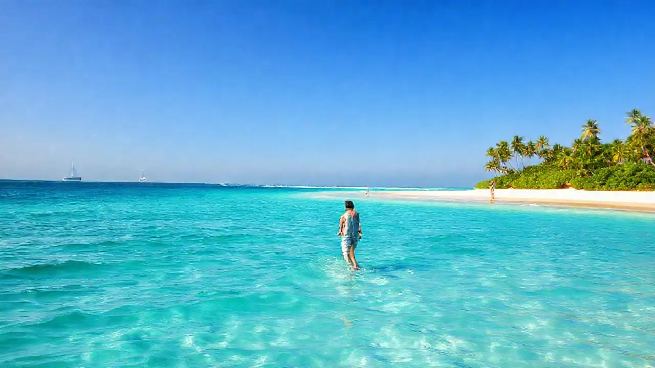 Playa tropical serena y soleada