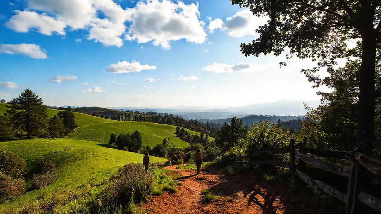 Paz natural, un paisaje sereno y amplio