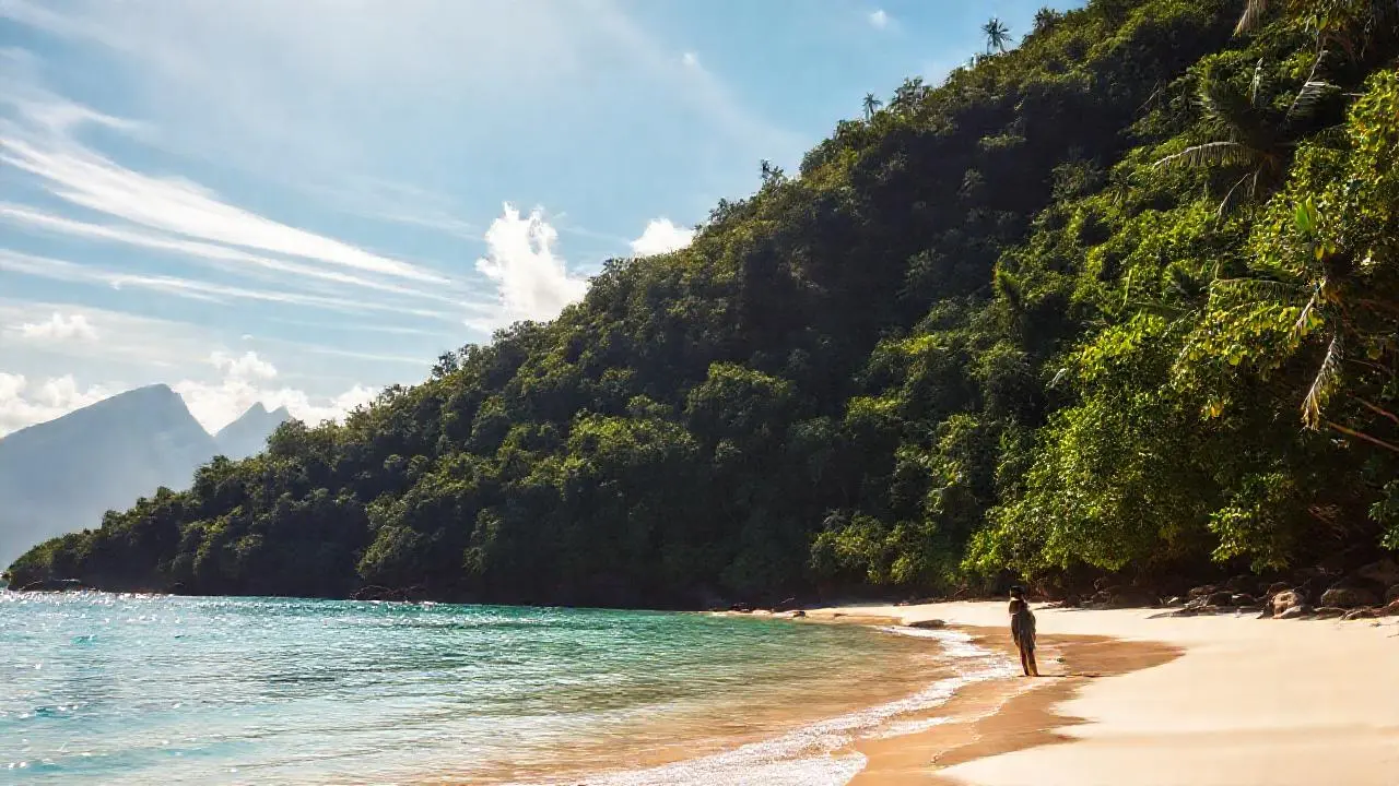 Paraíso tropical, tranquilo y soleado