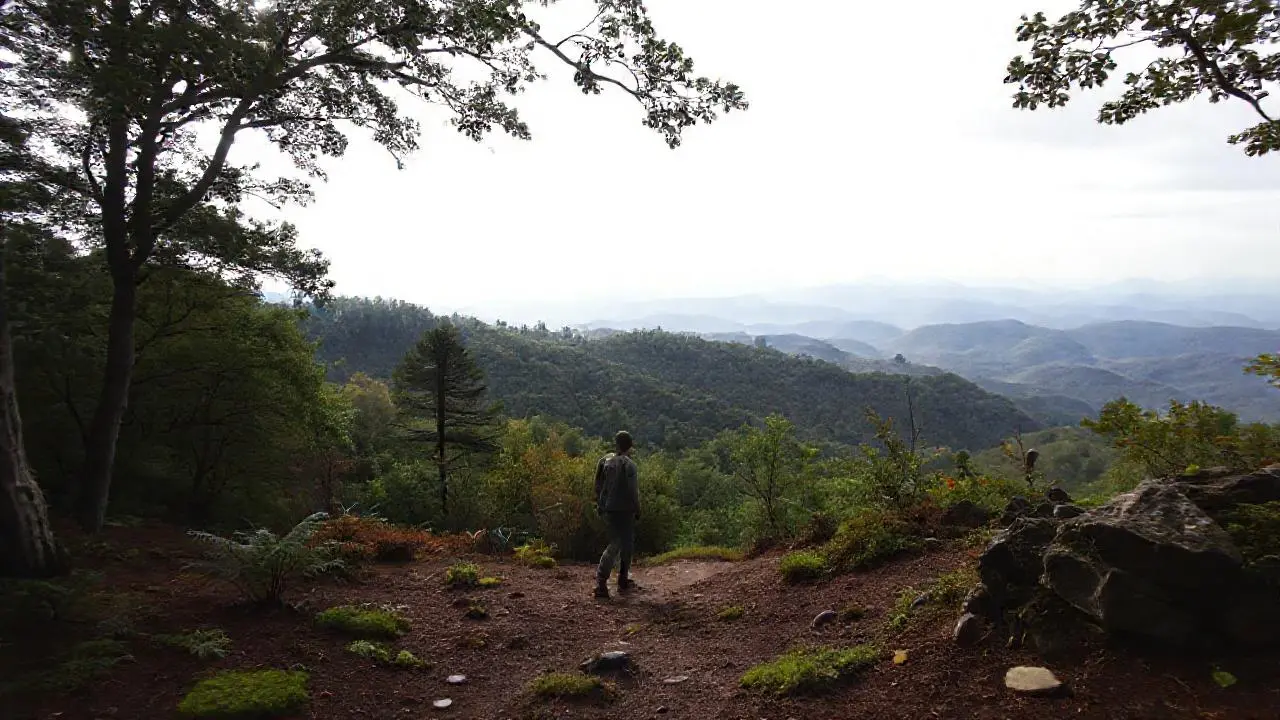 Paisaje sereno, natural y ligeramente brumoso