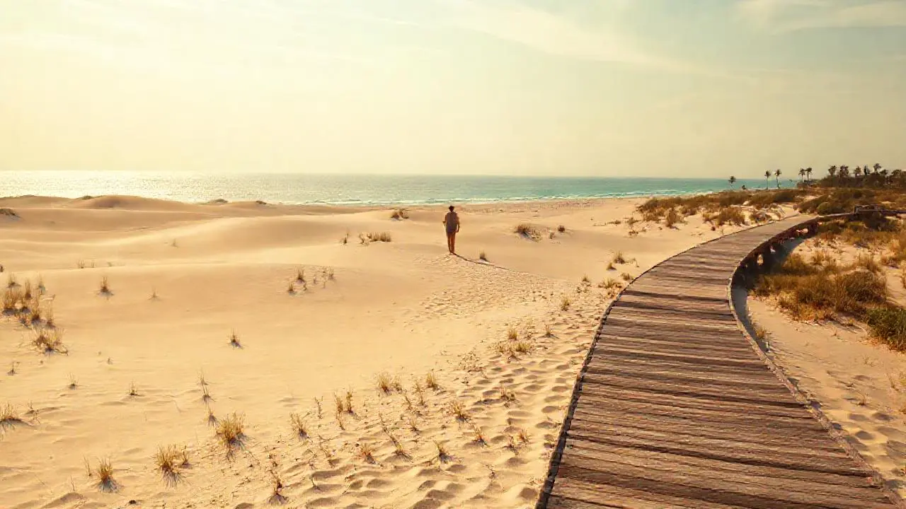 Playa serena, luz cálida y horizonte extenso