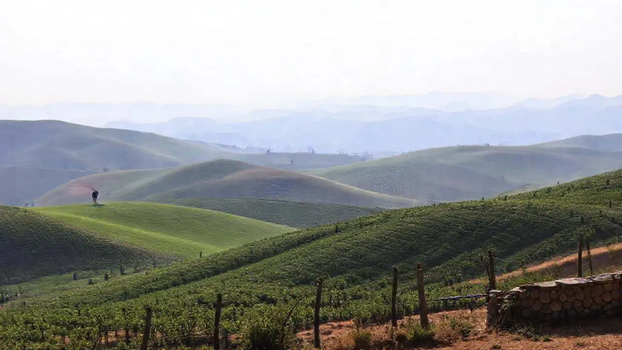 Paisaje rural, tranquilo y vasto