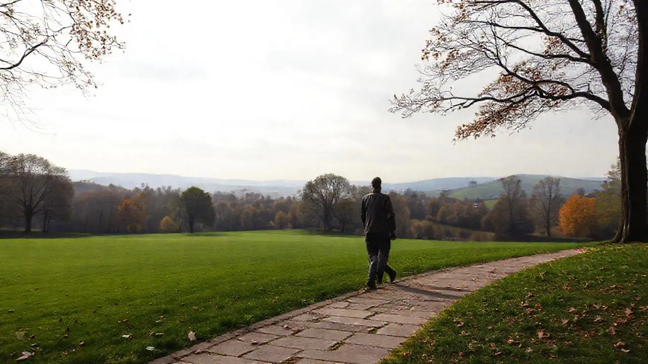 Paisaje otoñal tranquilo y natural