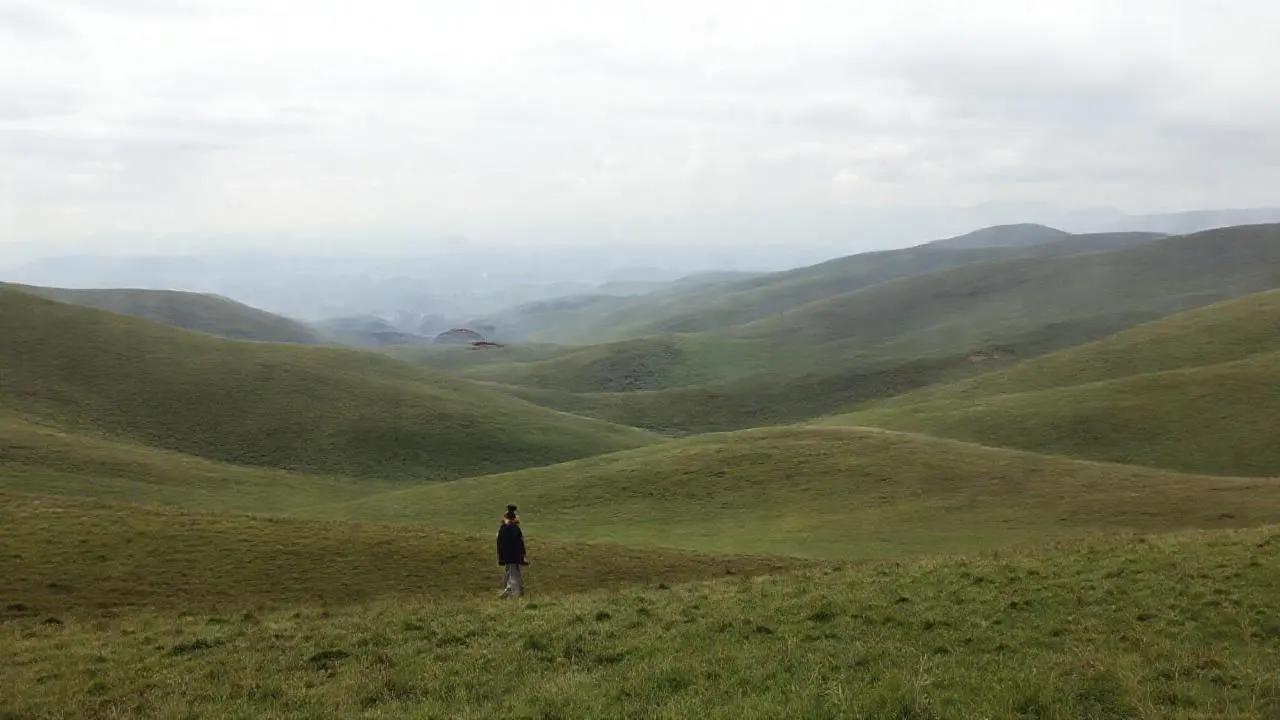 Paisaje sereno, amplio y ligeramente brumoso