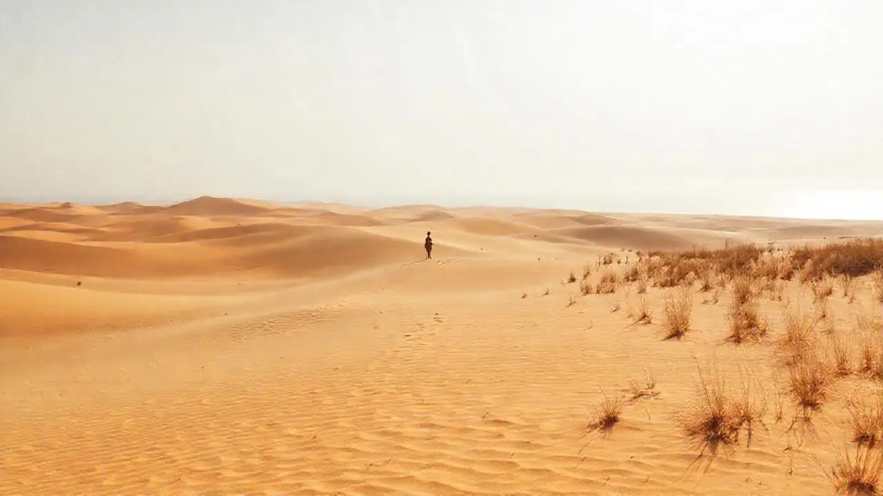 Un paisaje arenoso, abierto y sereno