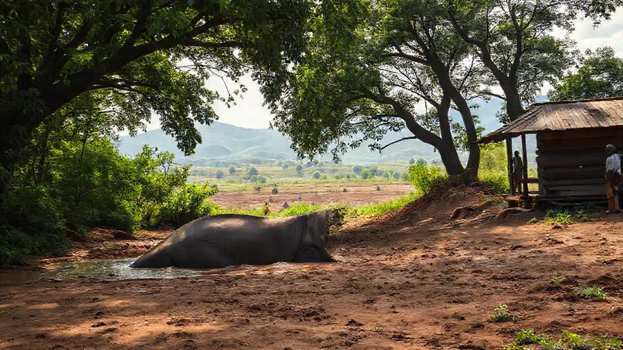 Un elefante en un valle brumoso