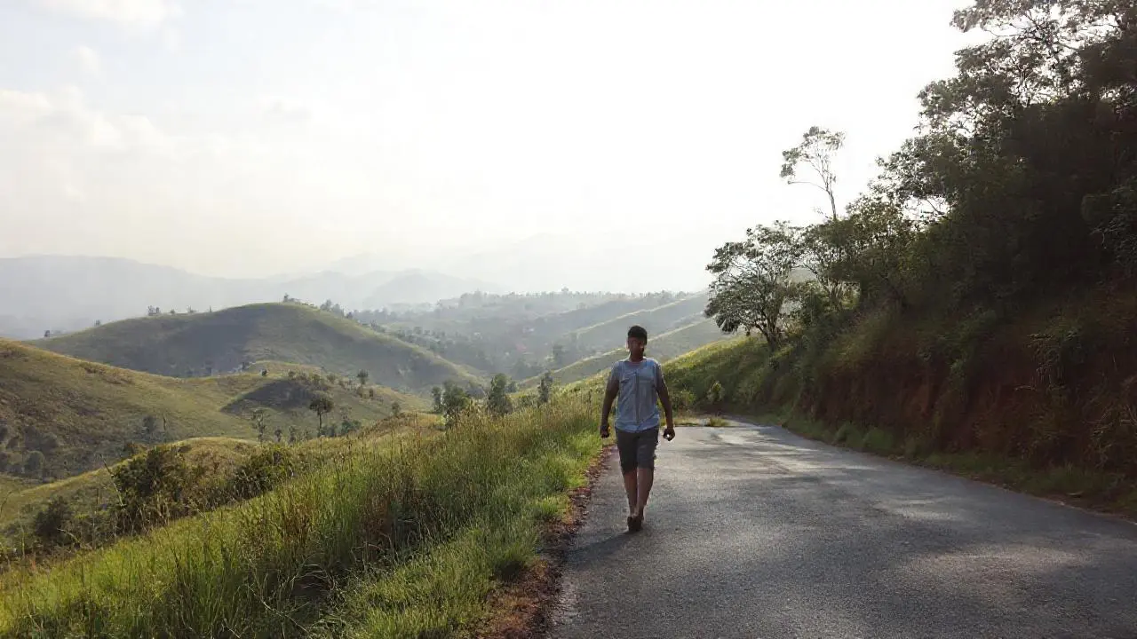 Paisaje sereno y natural, con figura solitaria