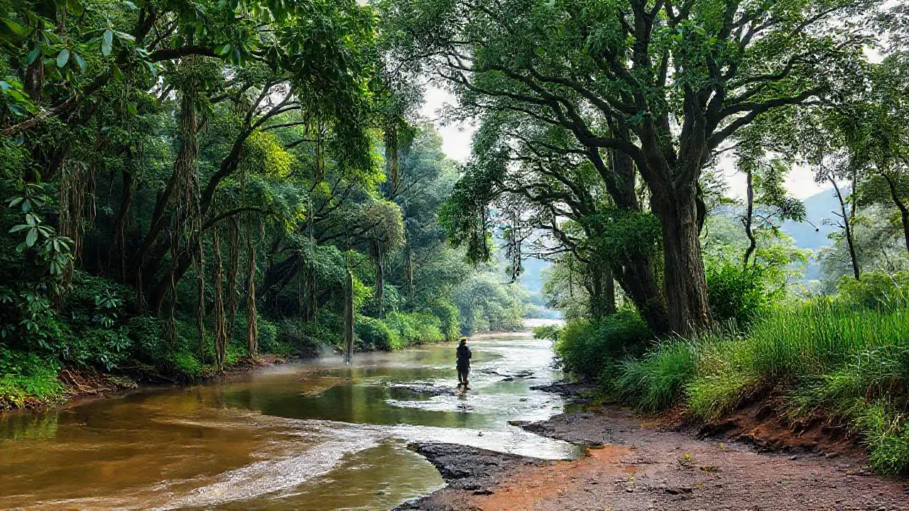 Selva exuberante, tranquila y extensa