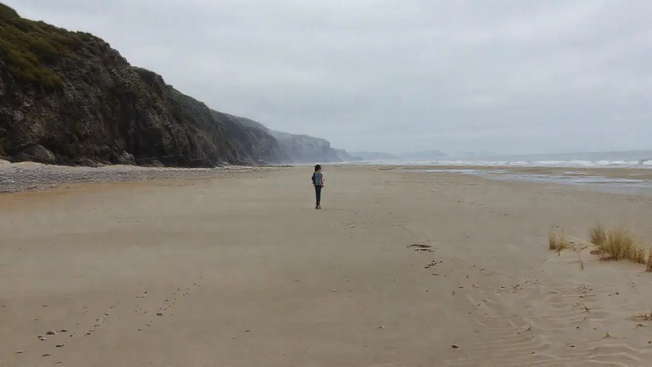 Playa arenosa, paisaje costero melancólico