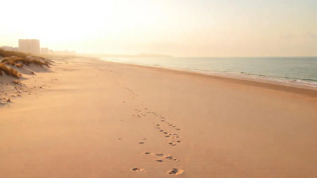 Paz serena en una playa al atardecer