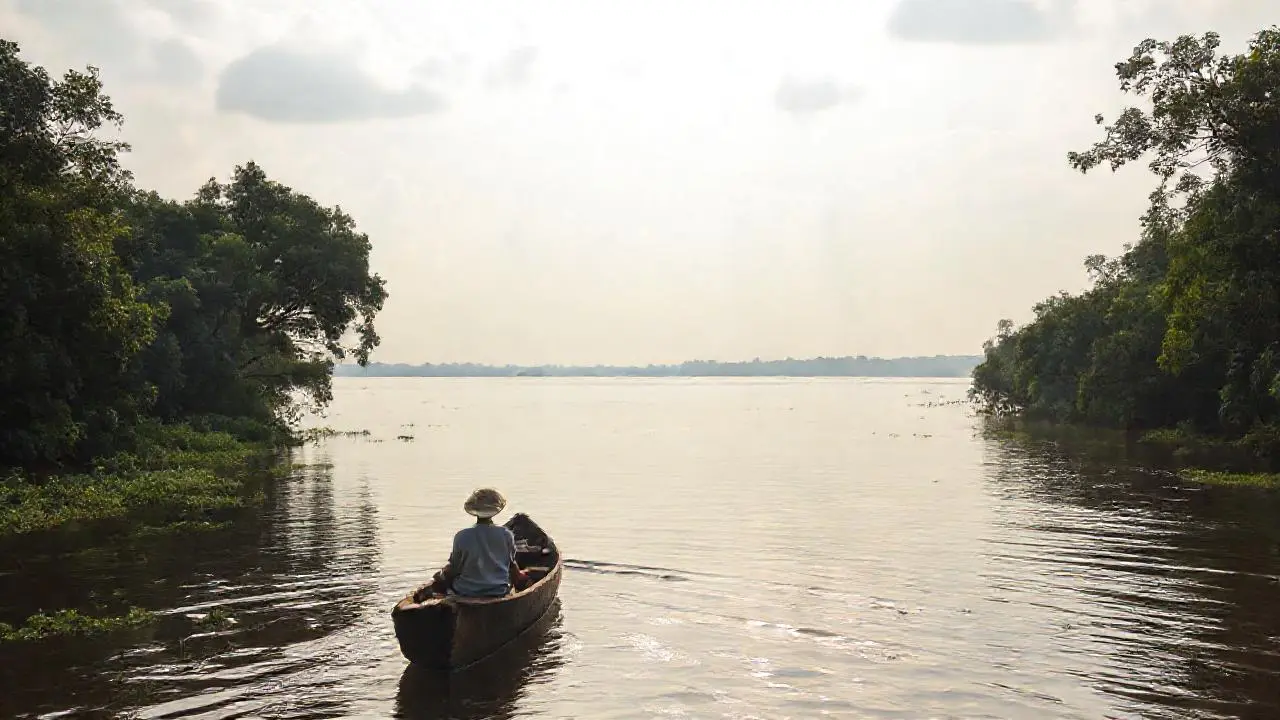 Paz y calma en un delta fluvial