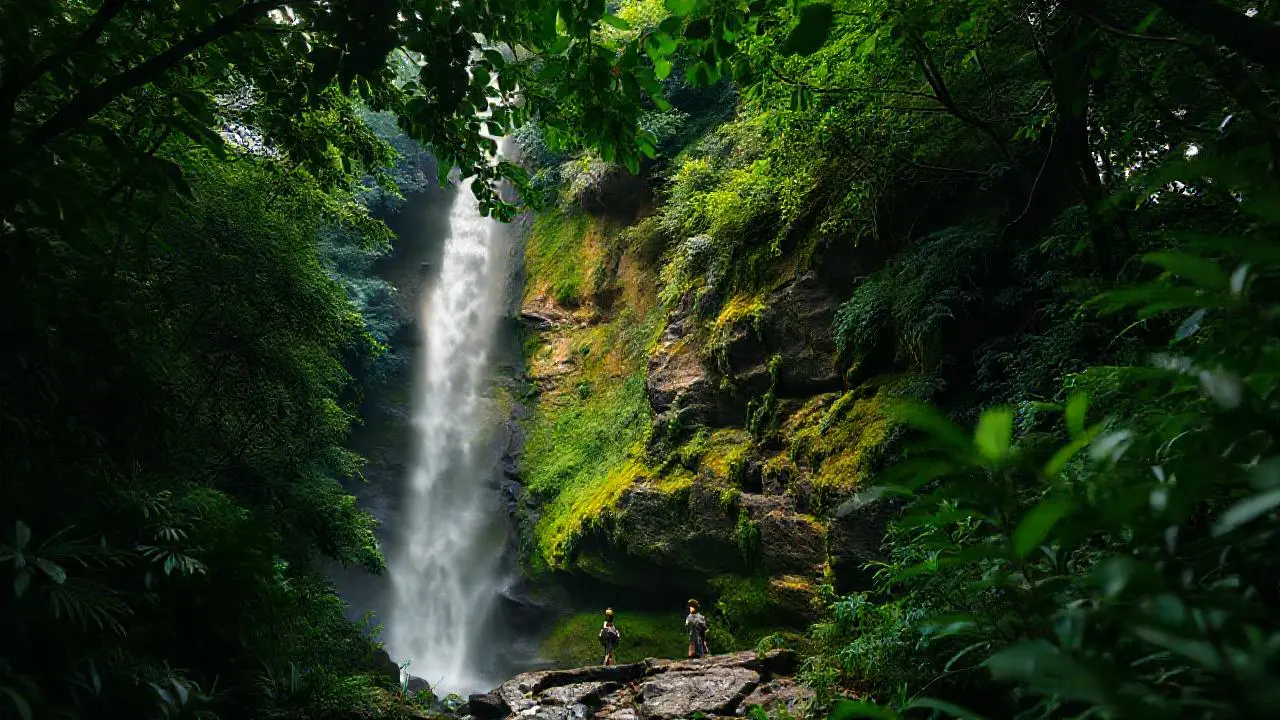 Selva exuberante, escala y luz natural