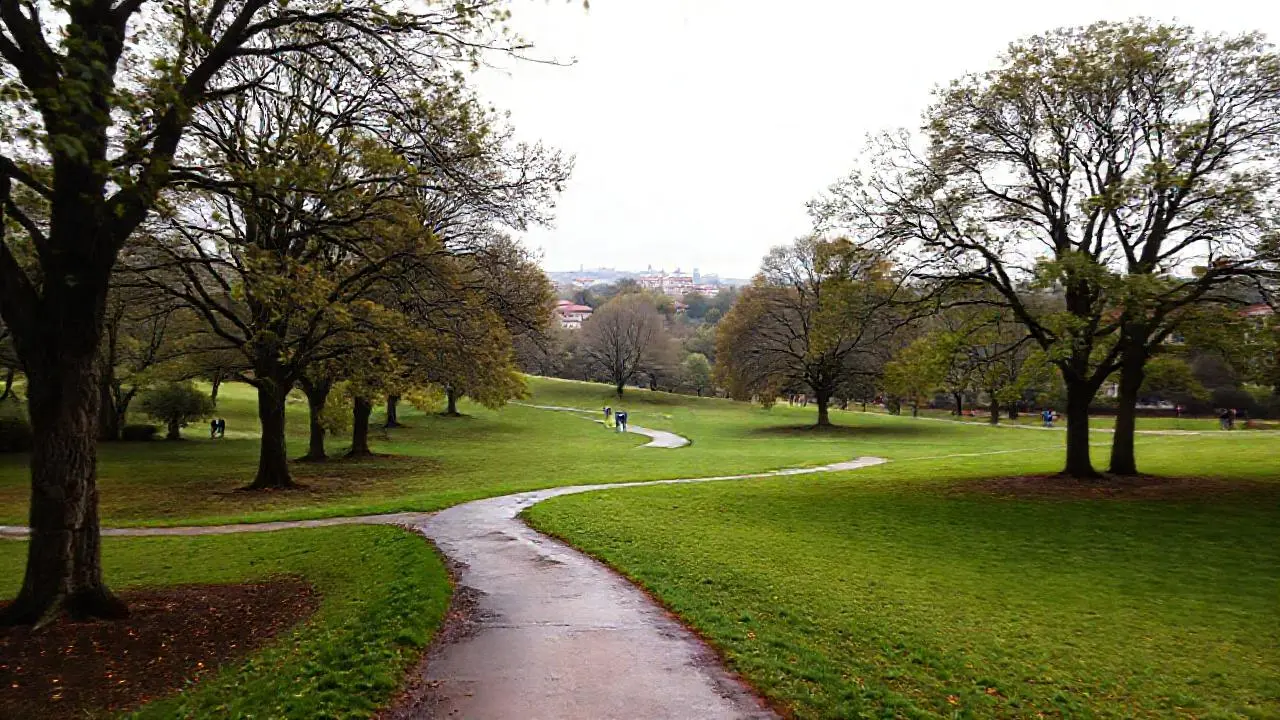 Paisaje natural, suave y evocador