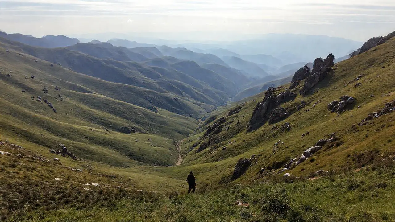 Paisaje tranquilo y extenso, lleno de vida