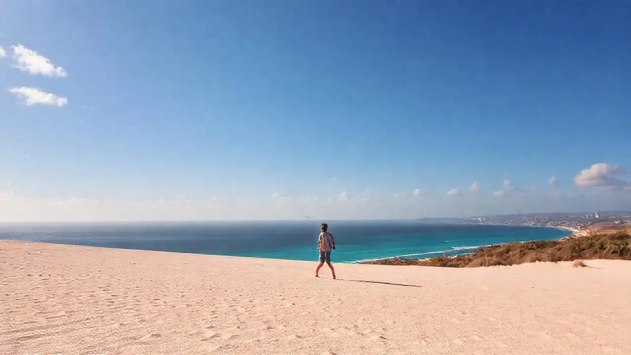 Paz serena en una playa soleada