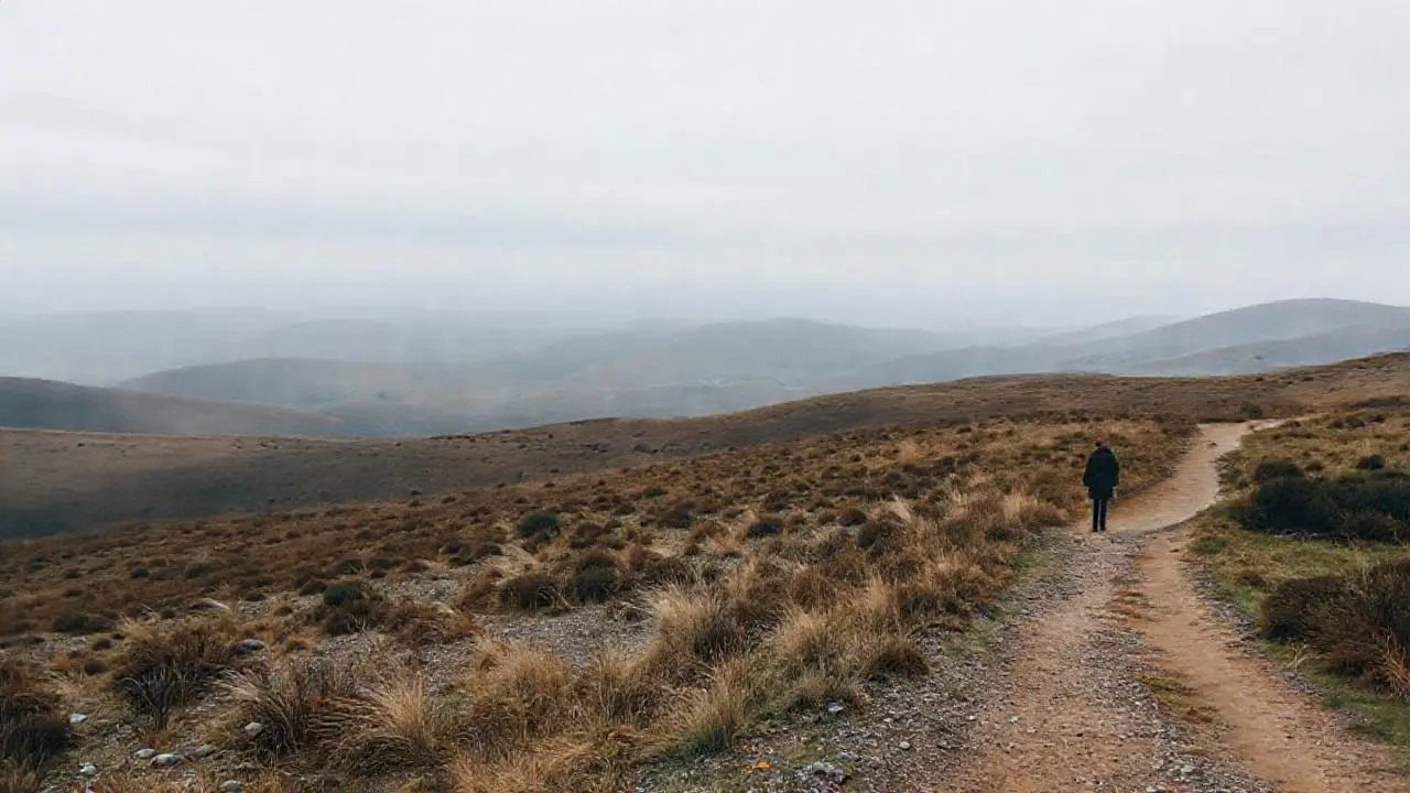 Paisaje vasto, solitario y silencioso